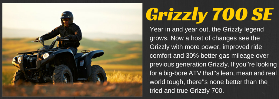 Grizzly 700